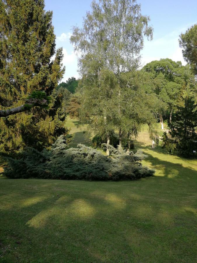 Le Jardin D Eau Ξενοδοχείο Lamothe-Montravel Εξωτερικό φωτογραφία