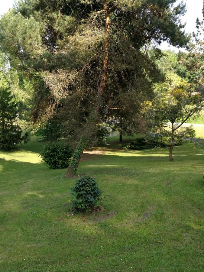 Le Jardin D Eau Ξενοδοχείο Lamothe-Montravel Εξωτερικό φωτογραφία